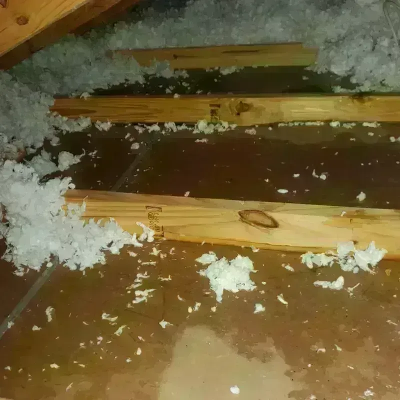 Attic Water Damage in Zapata County, TX